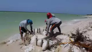 Extranjeros colocan 'espolones' en la costa de Chelem; uno fue de concreto