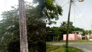 Foto: Pedro Hernández