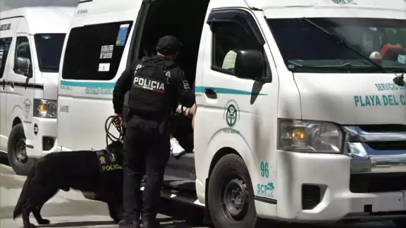 Con la ayuda de perros antidroga se realizó la revisión en las unidades Con la ayuda de perros antidroga se realizó la revisión en las unidades