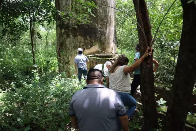 Se promoverá el senderismo por las brechas de la zona, mientras un guía de turistas contará la historia del inmueble a los visitantes