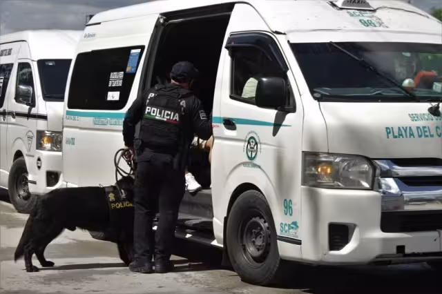 Con la ayuda de perros antidroga se realizó la revisión en las unidades