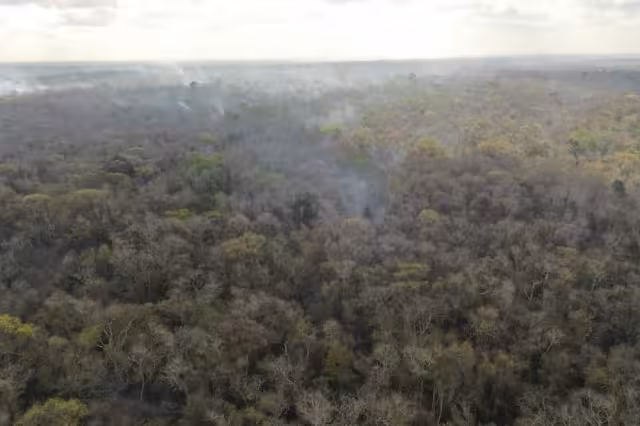El fuego arrasa con la zona de Chun Ek, perteneciente al municipio de Hopelchén, Campeche
