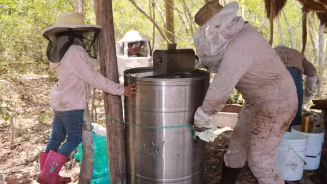 La miel bajó de precio nuevamente en los mercados