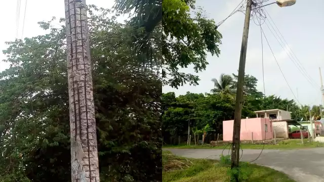 Foto: Pedro Hernández