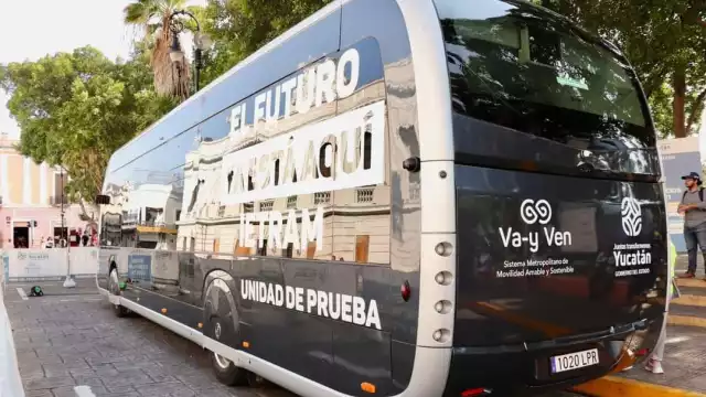 El proyecto de Arborizando Yucatán ha plantado más de 800 mil unidades en todo el Estado