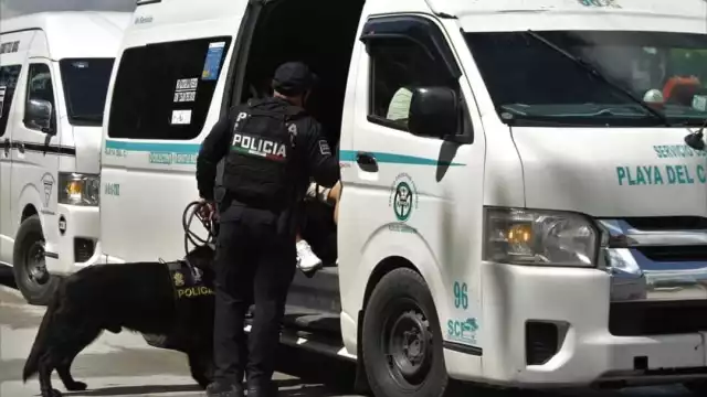 Con la ayuda de perros antidroga se realizó la revisión en las unidades