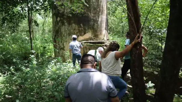 Se promoverá el senderismo por las brechas de la zona, mientras un guía de turistas contará la historia del inmueble a los visitantes