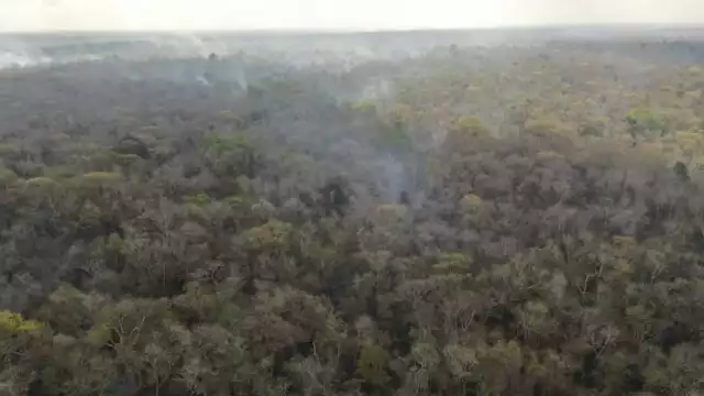 El fuego arrasa con la zona de Chun Ek, perteneciente al municipio de Hopelchén, Campeche