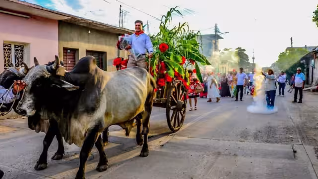 El joven acudió con toda una comuna para pedir la mano de su chica