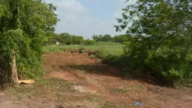 La Guardia Nacional no ocupará todo los terrenos donados, por lo que devolverá el restante a Chetumal