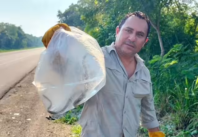 Encuentran serpiente en farmacia del centro de Escárcega