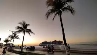 Se hicieron alianzas para que la iniciativa privada y los Gobiernos hagan campañas de difusión.