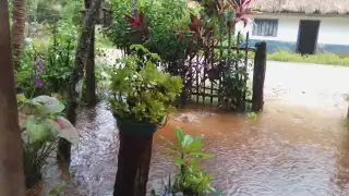 Hasta el momento, ninguna autoridad ha llegado para ayudarlos