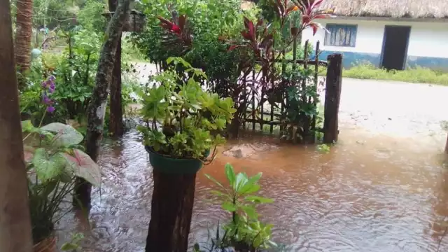 Hasta el momento, ninguna autoridad ha llegado para ayudarlos