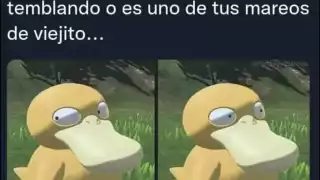 Los memes tras el sismo en la CDMX no se hicieron esperar durante la madrugada