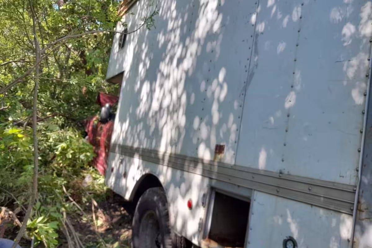Conductor pierde el control de su camioneta y choca contra un árbol en ...
