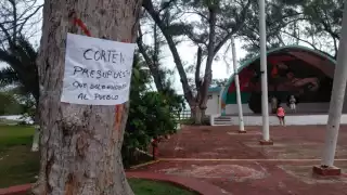 La mañana de éste miércoles, un grupo de ciudadanos colocó las cartulinas en varios de los arboles