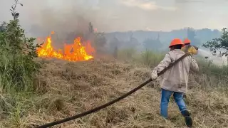 Los últimos dos incendios consumieron 7 hectáreas de sembradíos de limón persa y sus sistemas de riego
