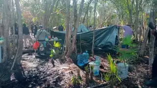 Predio ocupado de manera ilegal es desalojado en Mahahual