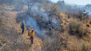 ¡Alarma en Campeche! Registra más de 37 mil puntos de calor   