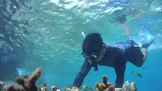 Los daños tras los huracanes en 20202 fueron mínimos