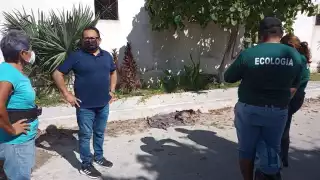 Según el reglamento municipal, quien prive de la vida a un animal doméstico recibiría multas de hasta 10 mil salarios mínimos