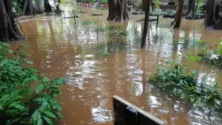 Foto: Abraham Cohuó