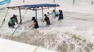 Más de 8 embarcaciones se encuentran hundidas en el mar de Campeche