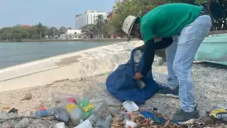 Con concurso de reciclaje, buscan limpiar calles y cuerpos de agua en Carmen; así puedes participar   