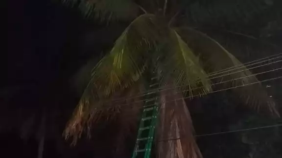 Los vecinos pidieron ayuda a Protección Civil para evitar un incendio Los vecinos pidieron ayuda a Protección Civil para evitar un incendio