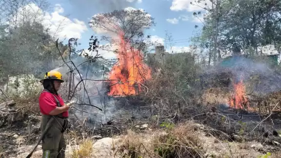 Por segunda vez en la semana, incendio de maleza en la colonia Miguel Hidalgo moviliza a bomberos Por segunda vez en la semana, incendio de maleza en la colonia Miguel Hidalgo moviliza a bomberos