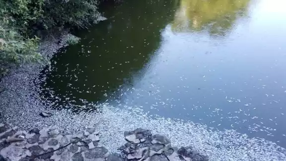 El aroma es insoportable y preocupa que el agua esté contaminada El aroma es insoportable y preocupa que el agua esté contaminada