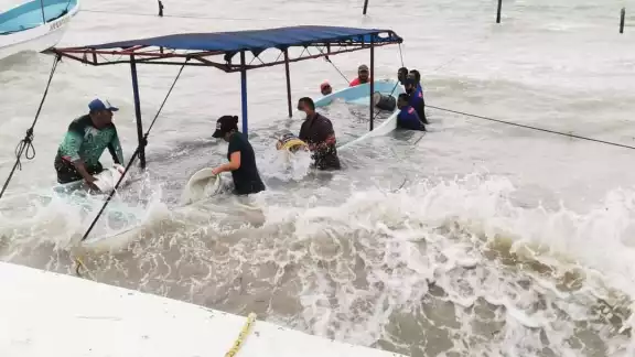 Más de 8 embarcaciones se encuentran hundidas en el mar de Campeche Más de 8 embarcaciones se encuentran hundidas en el mar de Campeche