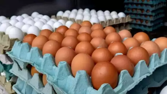 Los productores se han visto obligados a traerlo del centro del país, por escasez en la Península Los productores se han visto obligados a traerlo del centro del país, por escasez en la Península