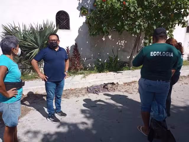 Según el reglamento municipal, quien prive de la vida a un animal doméstico recibiría multas de hasta 10 mil salarios mínimos