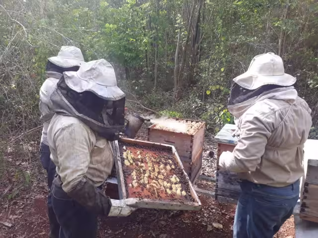 Tunkás era conocido como la Tierra de la Jalea Real por su alta producción