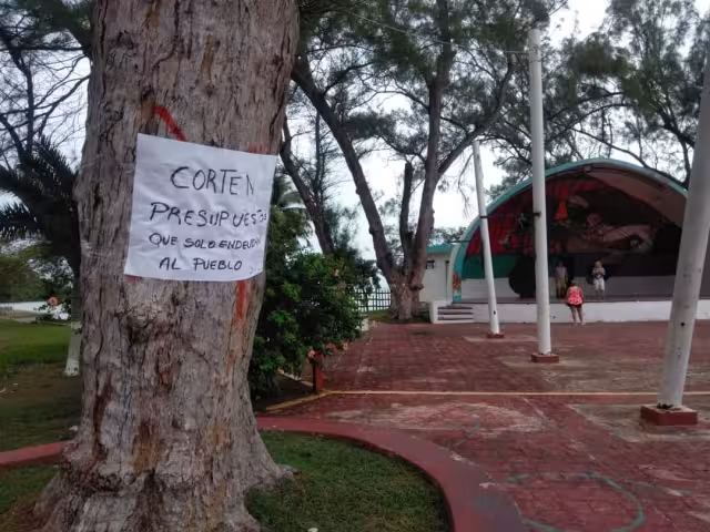La mañana de éste miércoles, un grupo de ciudadanos colocó las cartulinas en varios de los arboles