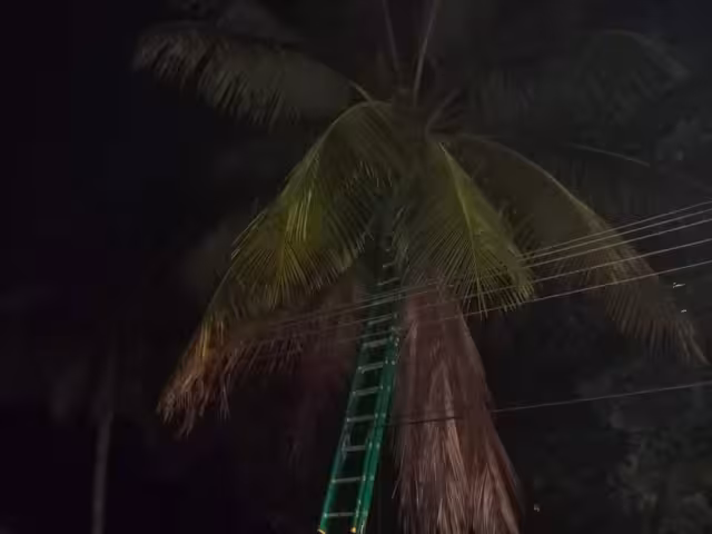 Los vecinos pidieron ayuda a Protección Civil para evitar un incendio