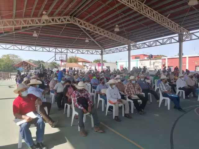 Varios agricultores locales serán apoyados