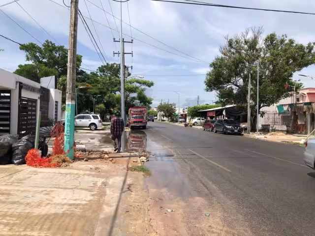 La obra apenas se había realizado hace cinco días, pero fue vandalizada