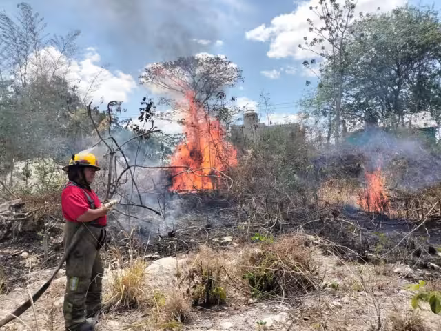 Por segunda vez en la semana, incendio de maleza en la colonia Miguel Hidalgo moviliza a bomberos