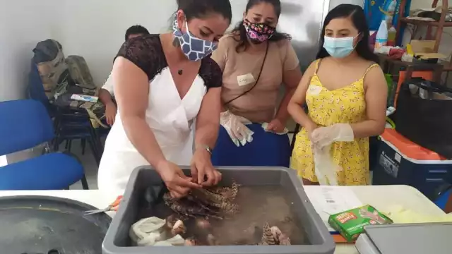 FOTOS: Abraham Cohuó