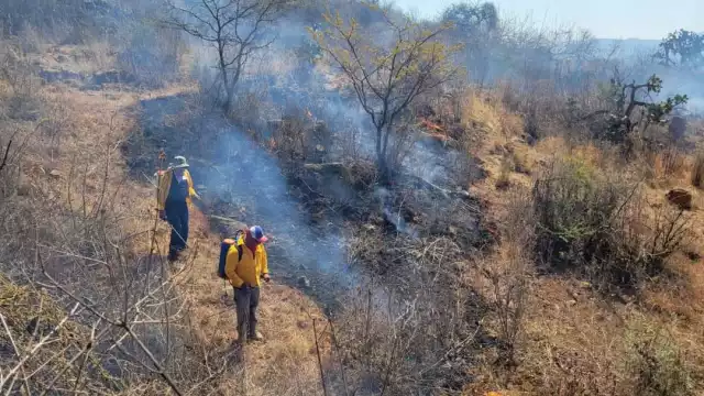 Candelaria, Champotón y Hopelchén, puntos críticos