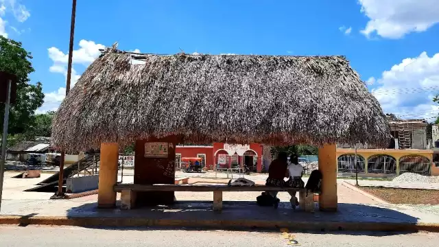 Este paradero es ideal para esperar el camión y no sufrir con el calor
