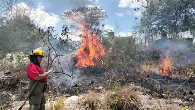 Por segunda vez en la semana, incendio de maleza en la colonia Miguel Hidalgo moviliza a bomberos