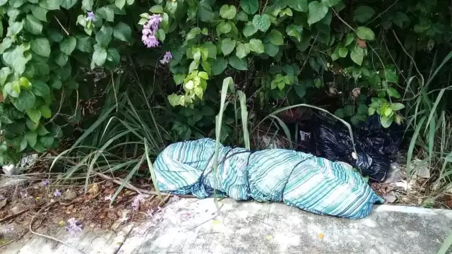 Esta sería la ejecución número 81 en lo que va del año