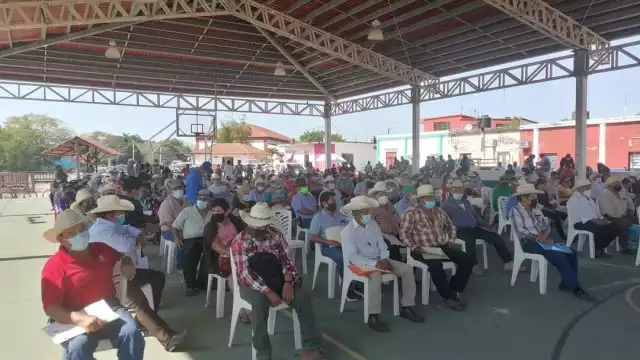 Varios agricultores locales serán apoyados