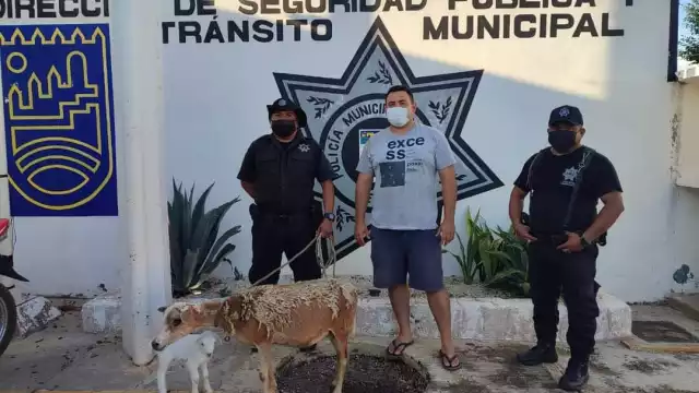 Los malhechores abandonaron el motín para evitar ser capturados