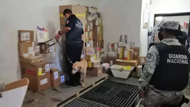 FOTO: Ricardo Jiménez