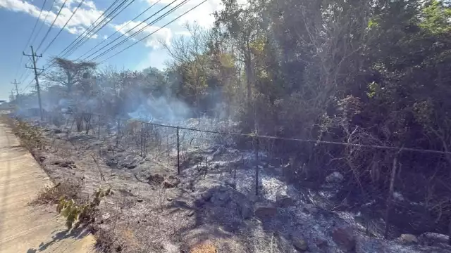 Un incendio de 200 metros cuadrados ocurrió cerca de la zona arqueológica de Xel-Há,